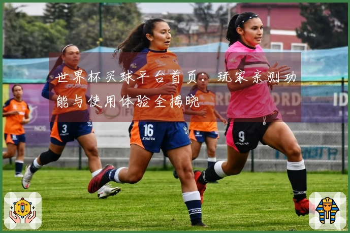 世界杯买球平台首页:玩家亲测功能与使用体验全揭晓