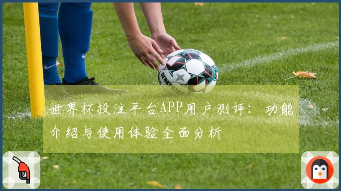 世界杯投注平台APP用户测评：功能介绍与使用体验全面分析