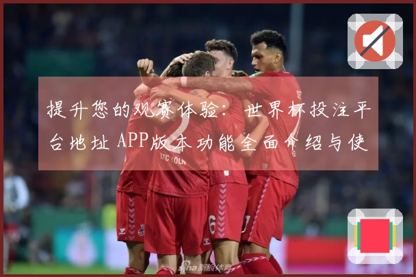 提升您的观赛体验:世界杯投注平台地址 APP版本功能全面介绍与使用指南