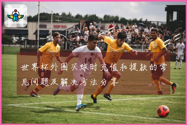 世界杯外围买球时充值和提款的常见问题及解决方法分享
