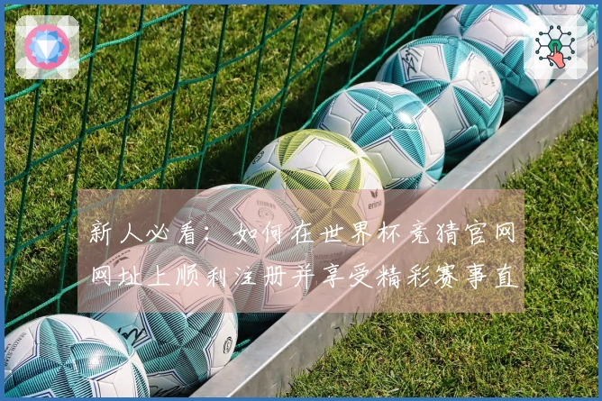 新人必看：如何在世界杯竞猜官网网址上顺利注册并享受精彩赛事直播