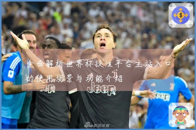 全面解析世界杯投注平台主站入口的使用场景与功能介绍