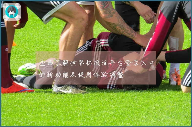 全面了解世界杯投注平台登录入口的新功能及使用体验调整