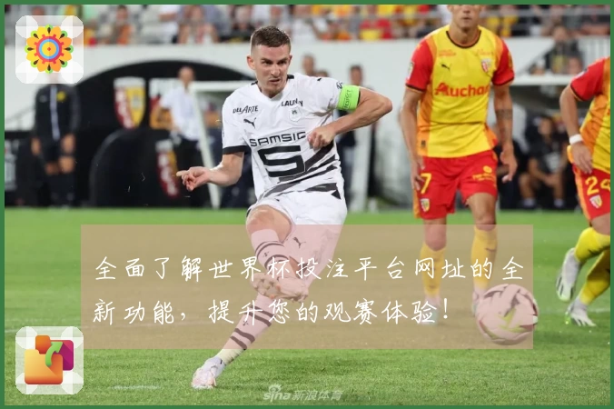 全面了解世界杯投注平台网址的全新功能，提升您的观赛体验！