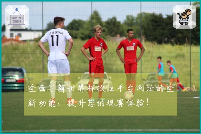全面了解世界杯投注平台网址的全新功能,提升您的观赛体验!