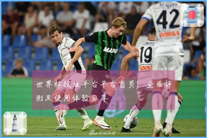 世界杯投注平台平台首页：全面评测及使用体验分享