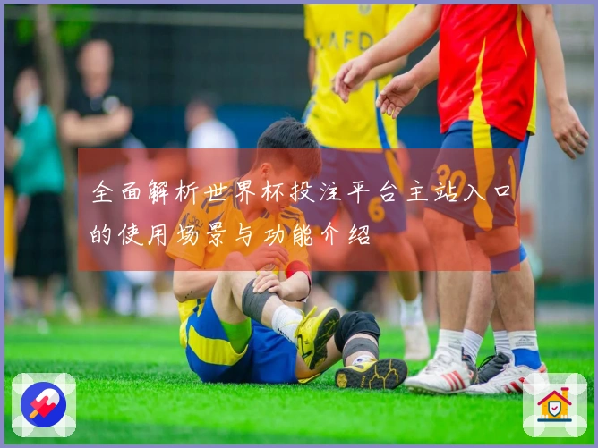 全面解析世界杯投注平台主站入口的使用场景与功能介绍