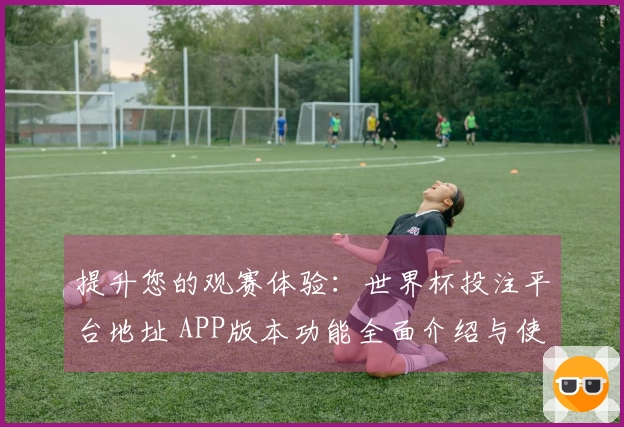 提升您的观赛体验：世界杯投注平台地址 APP版本功能全面介绍与使用指南