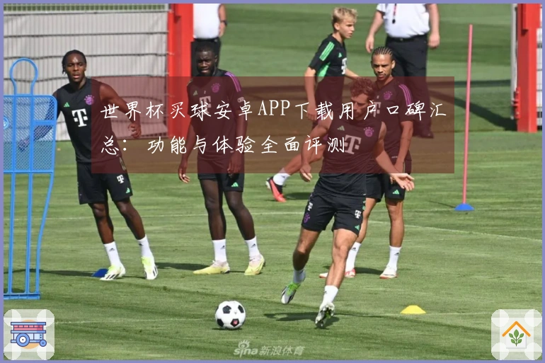 世界杯买球安卓APP下载用户口碑汇总：功能与体验全面评测