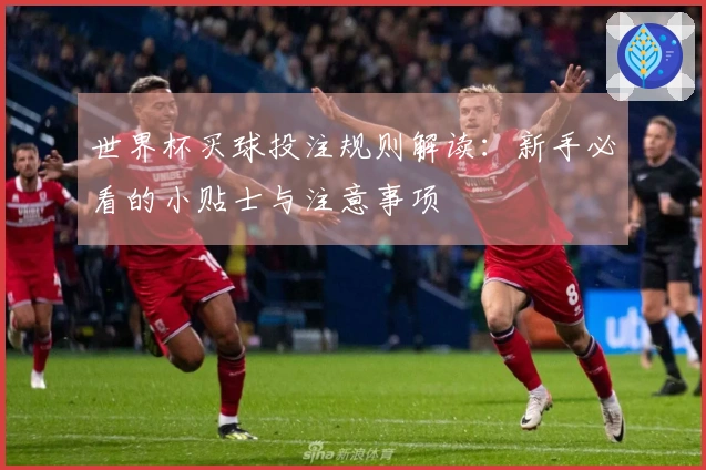 世界杯买球投注规则解读：新手必看的小贴士与注意事项