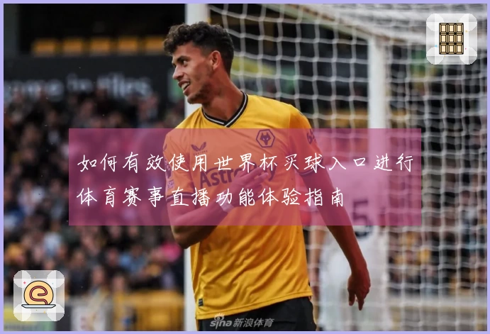 如何有效使用世界杯买球入口进行体育赛事直播功能体验指南