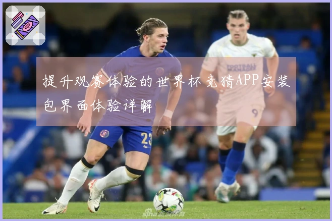 提升观赛体验的世界杯竞猜APP安装包界面体验详解