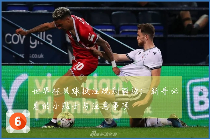 世界杯买球投注规则解读：新手必看的小贴士与注意事项