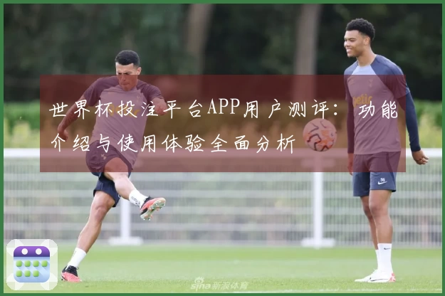 世界杯投注平台APP用户测评：功能介绍与使用体验全面分析