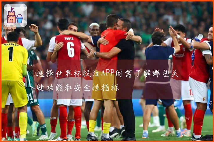选择世界杯投注APP时需了解哪些关键功能和安全性指标